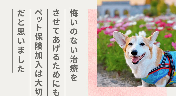 悔いのない治療をさせてあげるためにもペット保険加入は大切だと思いました