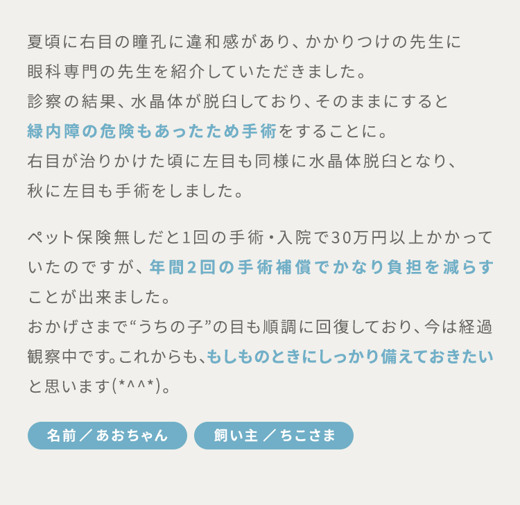 夏頃に右目の瞳孔に違和感があり、かかりつけの先生に眼科専門の先生を紹介していただきました。診察の結果、水晶体が脱臼しており、そのままにすると緑内障の危険もあったため手術をすることに。右目が治りかけた頃に左目も同様に水晶体脱臼となり、秋に左目も手術をしました。ペット保険無しだと1回の手術・入院で30万円以上かかっていたのですが、年間2回の手術補償でかなり負担を減らすことが出来ました。おかげさまで“うちの子”の目も順調に回復しており、今は経過観察中です。これからも、もしものときにしっかり備えておきたいと思います(*^^*)。【名前/あおちゃん 飼い主/ちこさま】