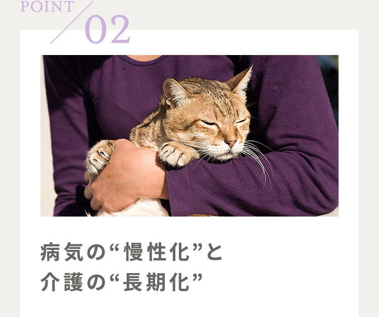 POINT02:病気の“慢性化”と介護の“長期化”