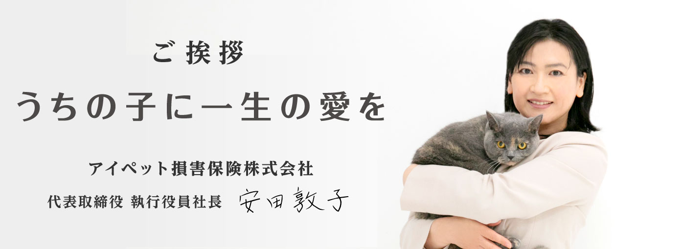 アイペット損害保険株式会社　代表取締役　執行役員社長　安田敦子　ご挨拶