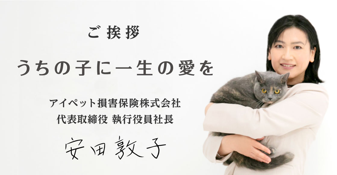 アイペット損害保険株式会社　代表取締役　執行役員社長　安田敦子　ご挨拶