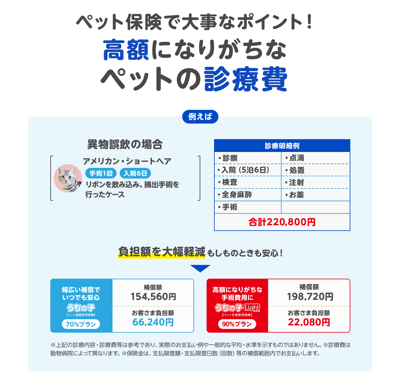 ペット保険で大事なポイント 高額になりがちなペットの診療費 猫