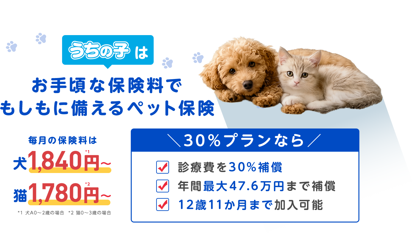 「うちの子」はお手頃な保険料でもしもに備えるペット保険