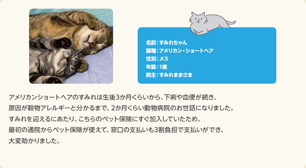 猫のお客さまの声 すみれちゃん
