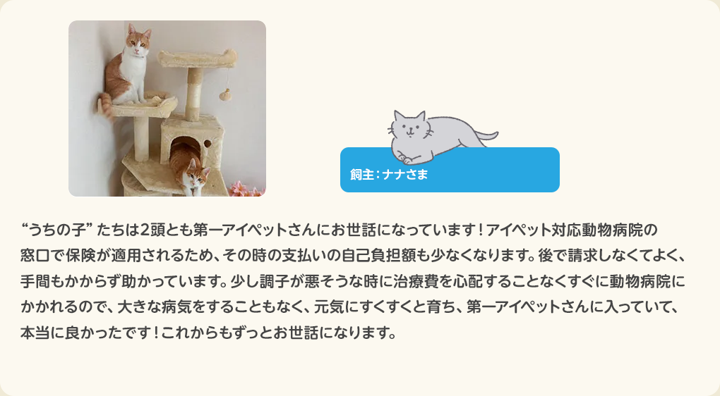 猫のお客さまの声