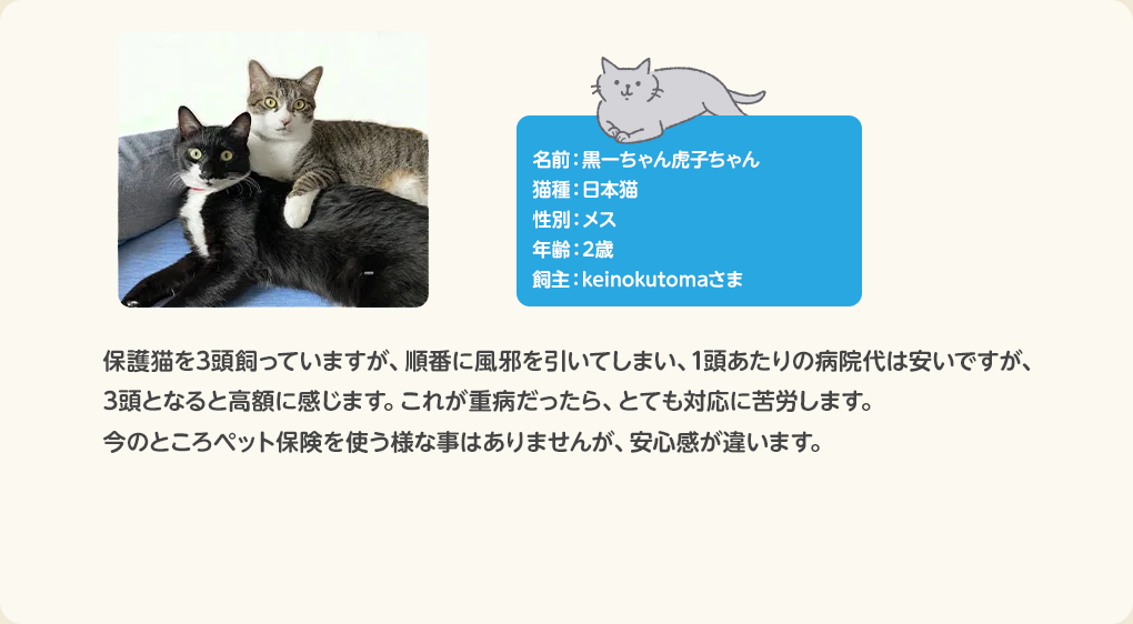 猫のお客さまの声