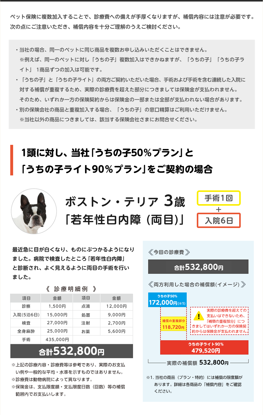 ペット保険を複数ご検討の方への注意事項と、ボストン・テリア3歳「若年性白内障」の診療費の支払いイメージ