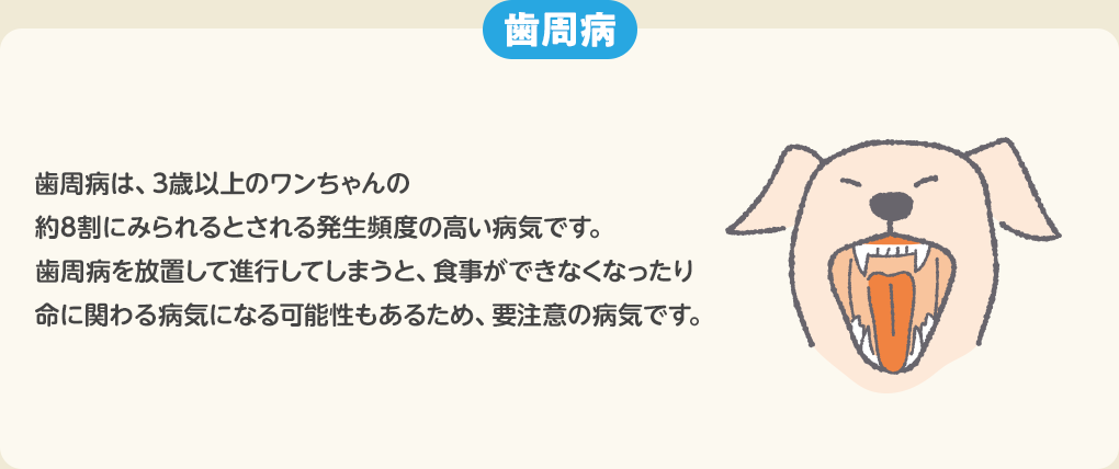 歯周病