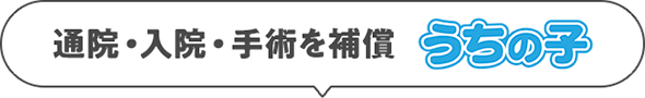 通院・入院・手術を補償 うちの子