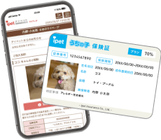 5,946病院以上で利用OK!