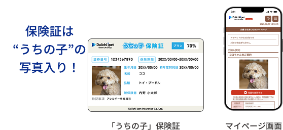 保険証はうちの子の写真入り