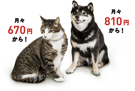 猫は月々670円から！犬は月々810円から！