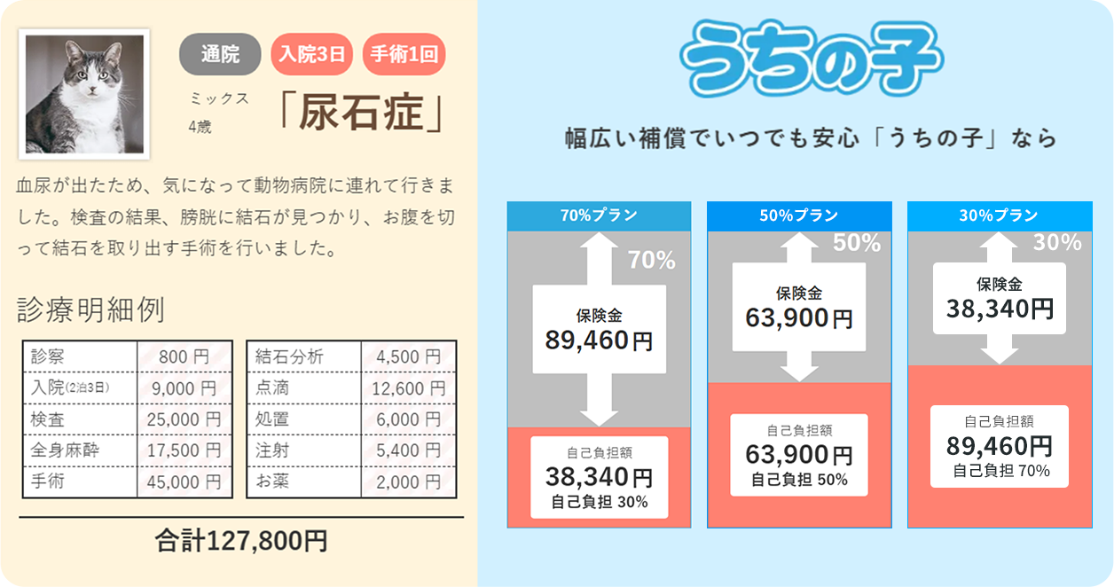 ミックス4歳 「尿石症」血尿が出たため、気になって動物病院に連れて行きました。検査の結果、膀胱に結石が見つかり、お腹を切って結石を取り出す手術を行いました。合計127,800円