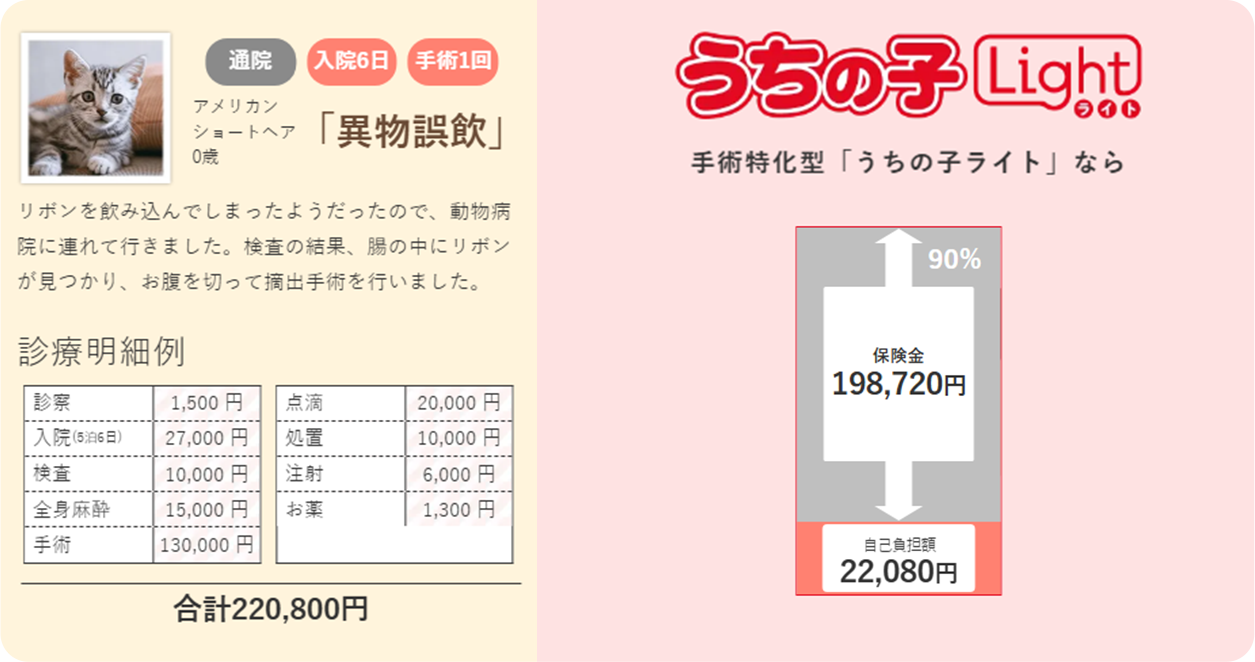 アメリカンショートヘア0歳 「異物誤飲」リボンを飲み込んでしまったようだったので、動物病院に連れて行きました。検査の結果、腸の中にリボンが見つかり、お腹を切って摘出手術を行いました。合計220,800円