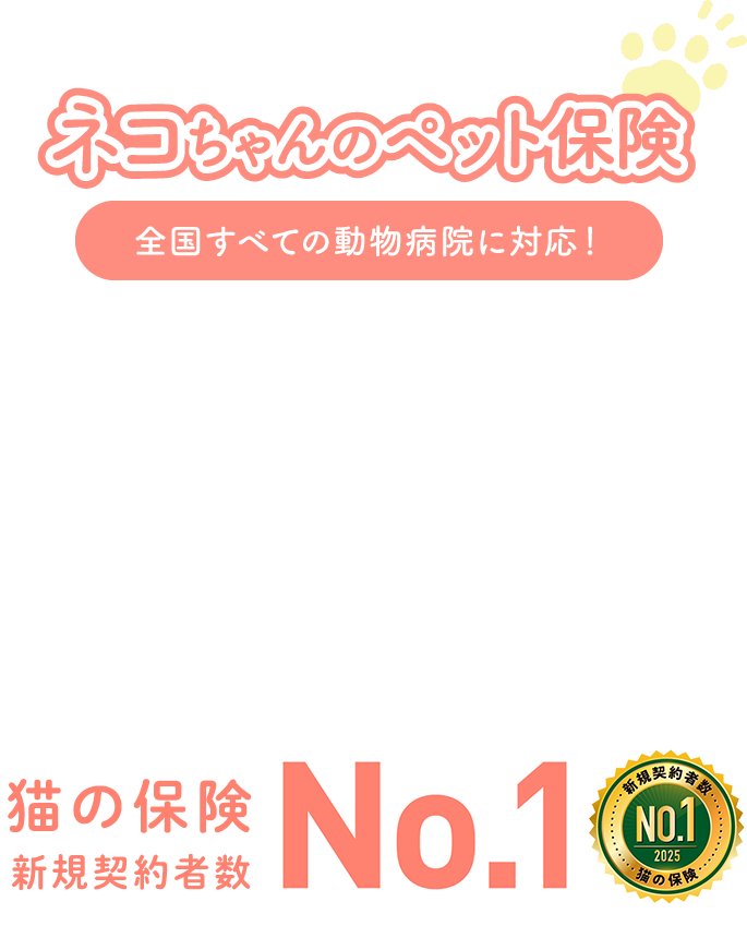 猫ちゃんのペット保険 全国すべての動物病院に対応！ 猫の保険新規契約者数No.1！