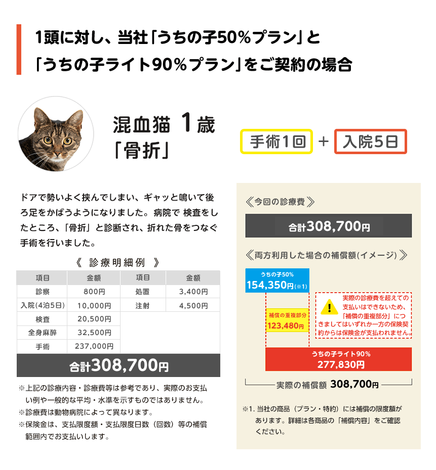 複数加入