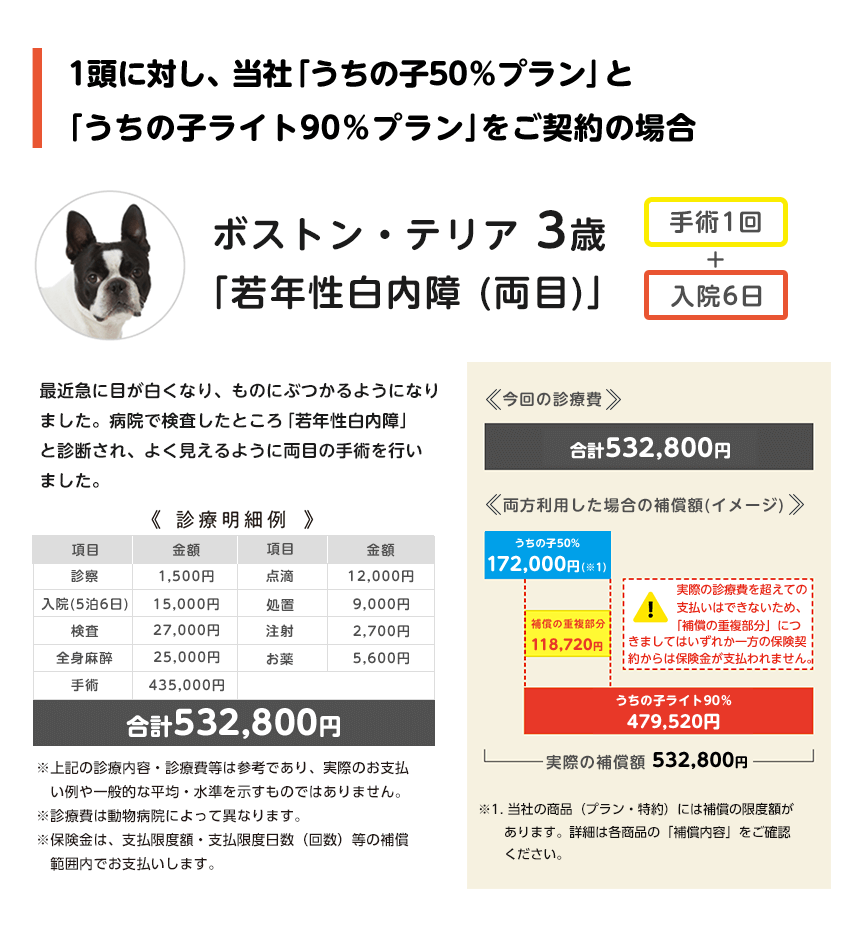 複数加入