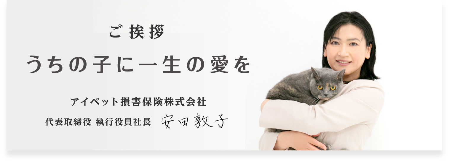 アイペット損害保険株式会社　代表取締役　執行役員社長　安田敦子　ご挨拶