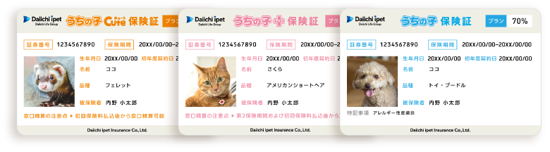 第一アイペットの保険証