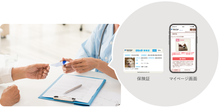 第一アイペットの保険証