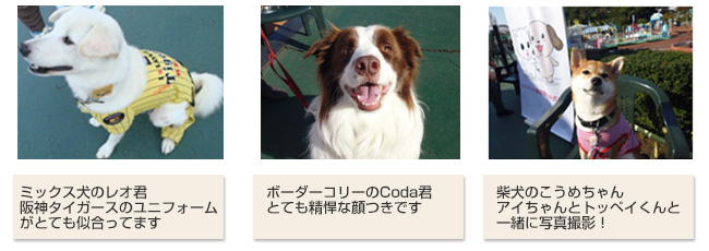 しつけセミナー