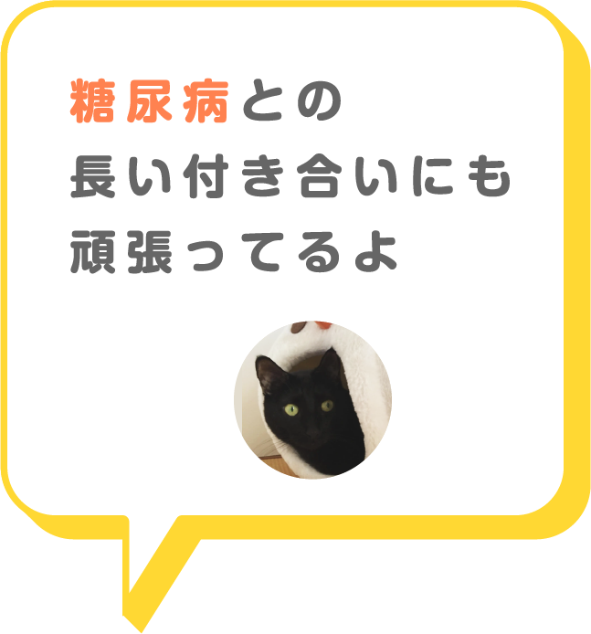 猫画像