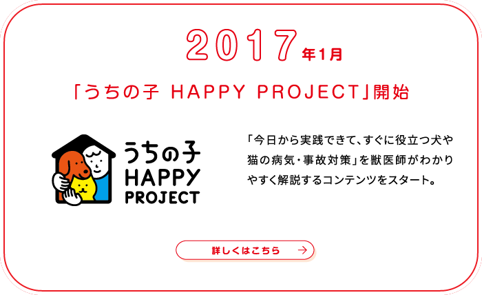 これまでの歩み画像