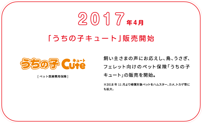 これまでの歩み画像