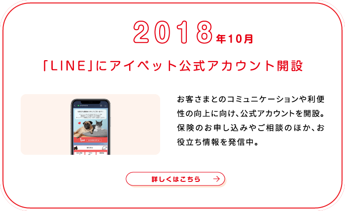 これまでの歩み画像