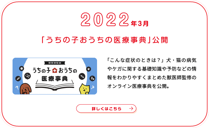 これまでの歩み画像