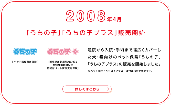 これまでの歩み画像