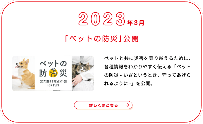 これまでの歩み画像