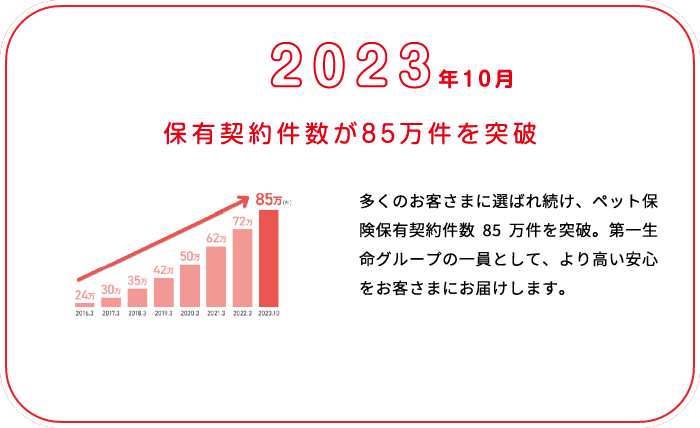 これまでの歩み画像