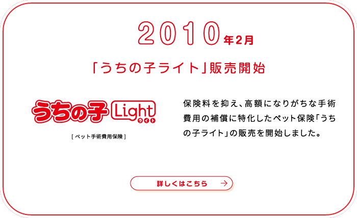 これまでの歩み画像