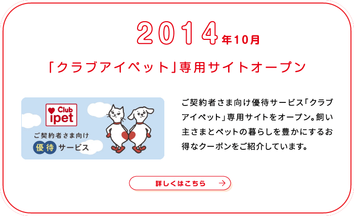 これまでの歩み画像