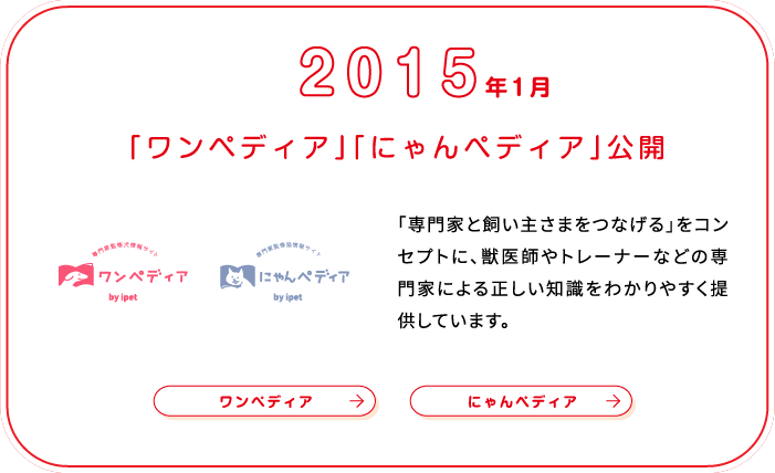 これまでの歩み画像