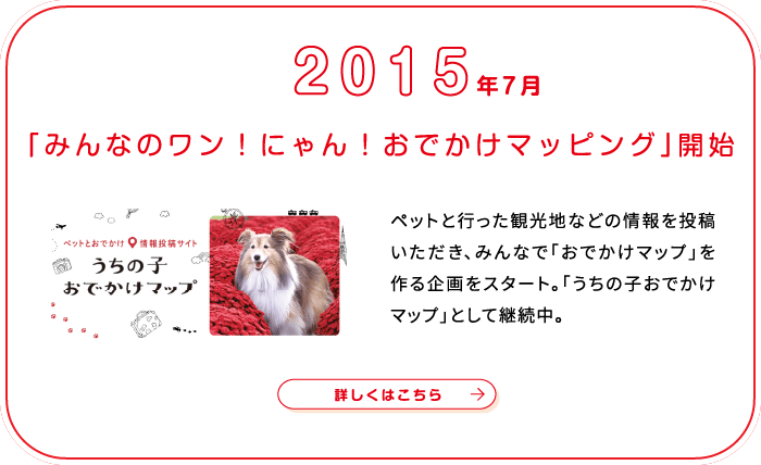 これまでの歩み画像