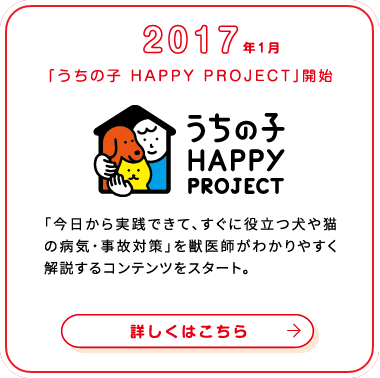 これまでの歩み画像