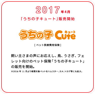 これまでの歩み画像