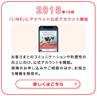 これまでの歩み画像