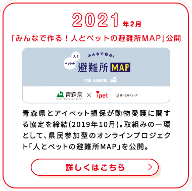 これまでの歩み画像