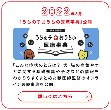 これまでの歩み画像