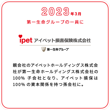 これまでの歩み画像