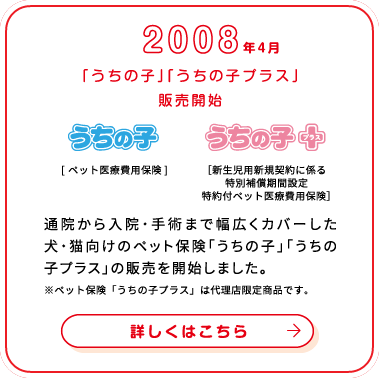 これまでの歩み画像