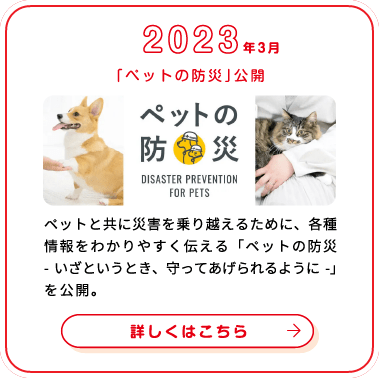 これまでの歩み画像