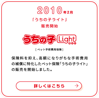 これまでの歩み画像