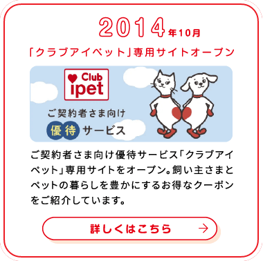 これまでの歩み画像