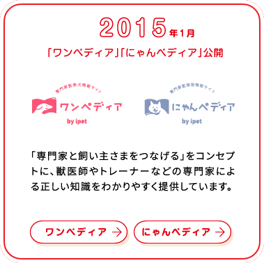 これまでの歩み画像