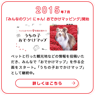 これまでの歩み画像