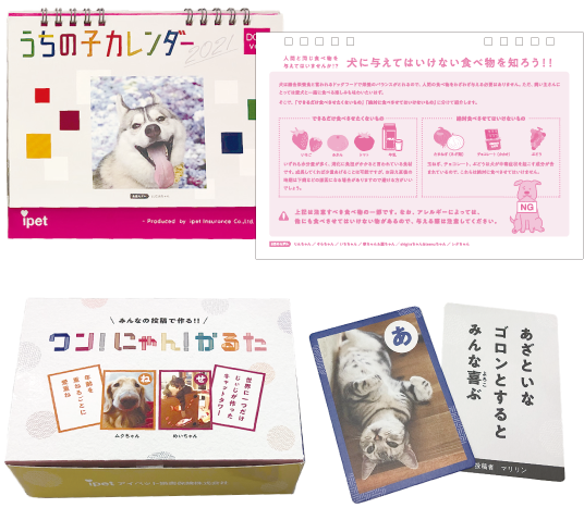 重点課題と具体的な取組み ペット保険なら アイペット損保